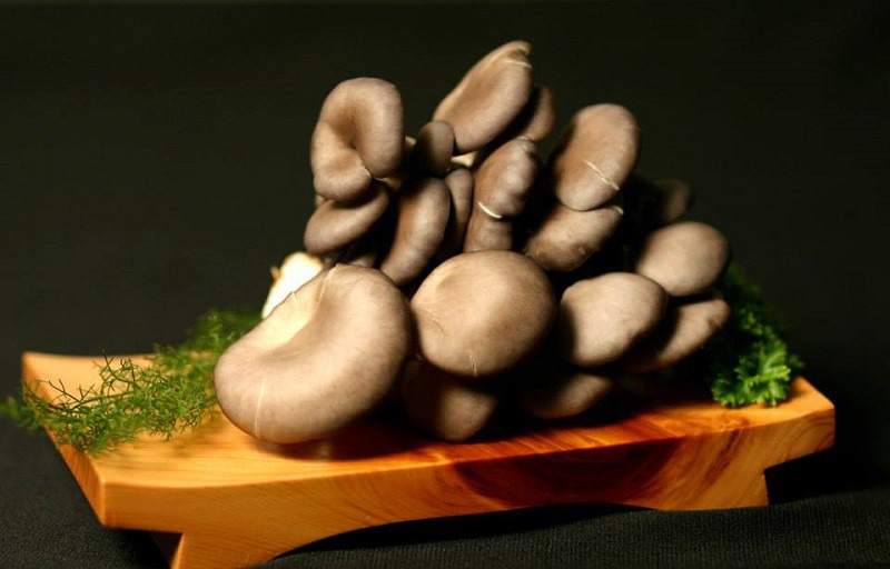 Giá trị dinh dưỡng của nấm