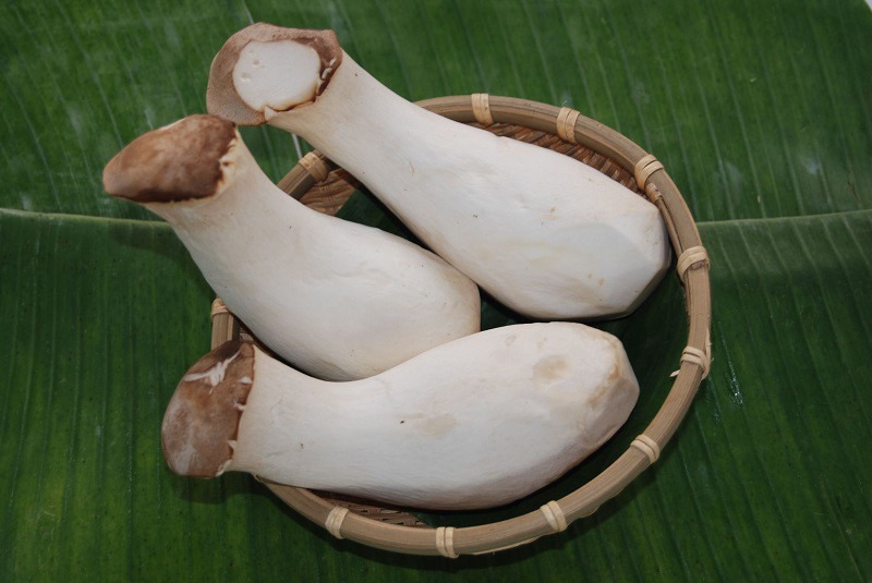 Cách chọn mua nấm tươi ngon