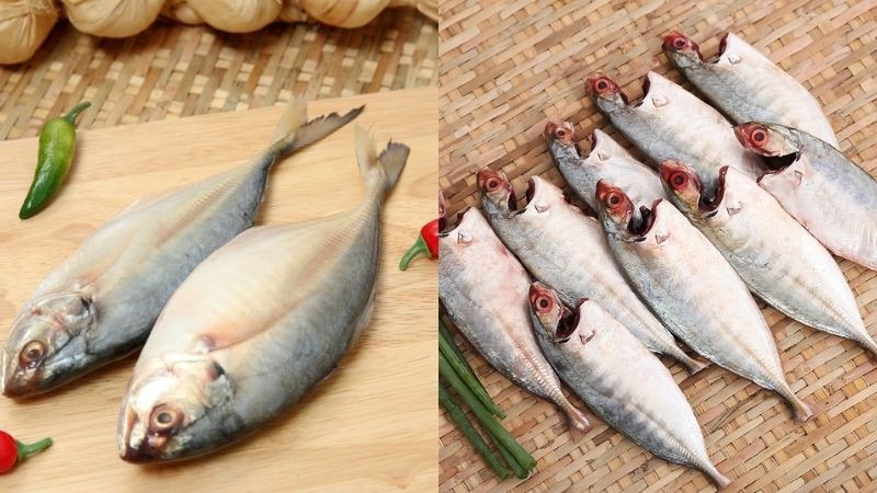 Phân biệt cá trác với cá ngân, cá bạc má