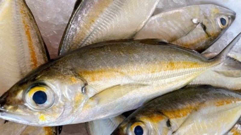 Cách chọn mua cá trác