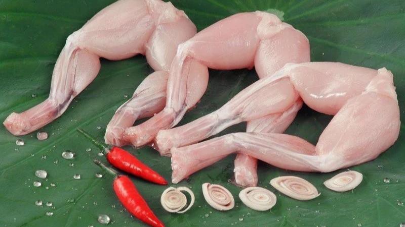 Lưu ý khi sơ chế, chế biến và ăn ếch