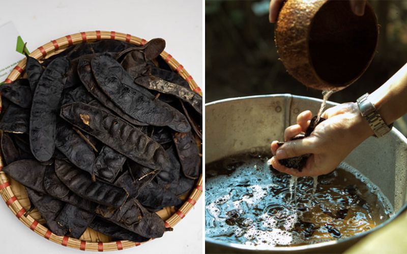 Gội đầu bằng bồ kết