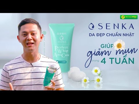 15 lời chúc ngày khai giảng năm học mới 2023 - 2024 ý nghĩa